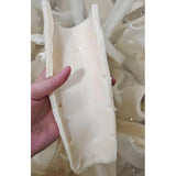 Middle Section of Beef Aorta